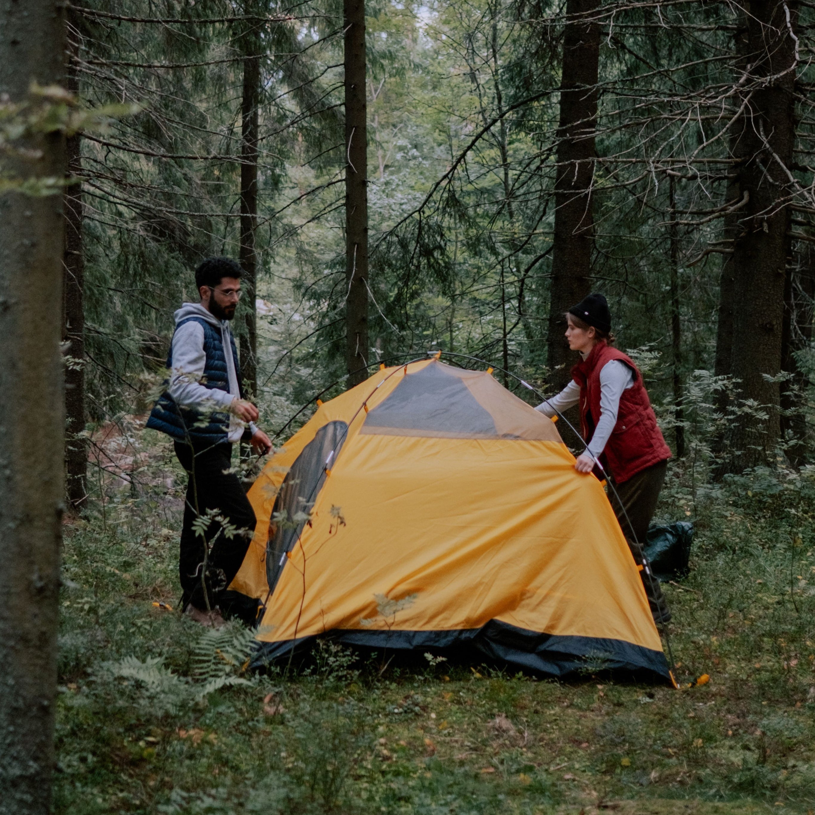 Camping & Hiking