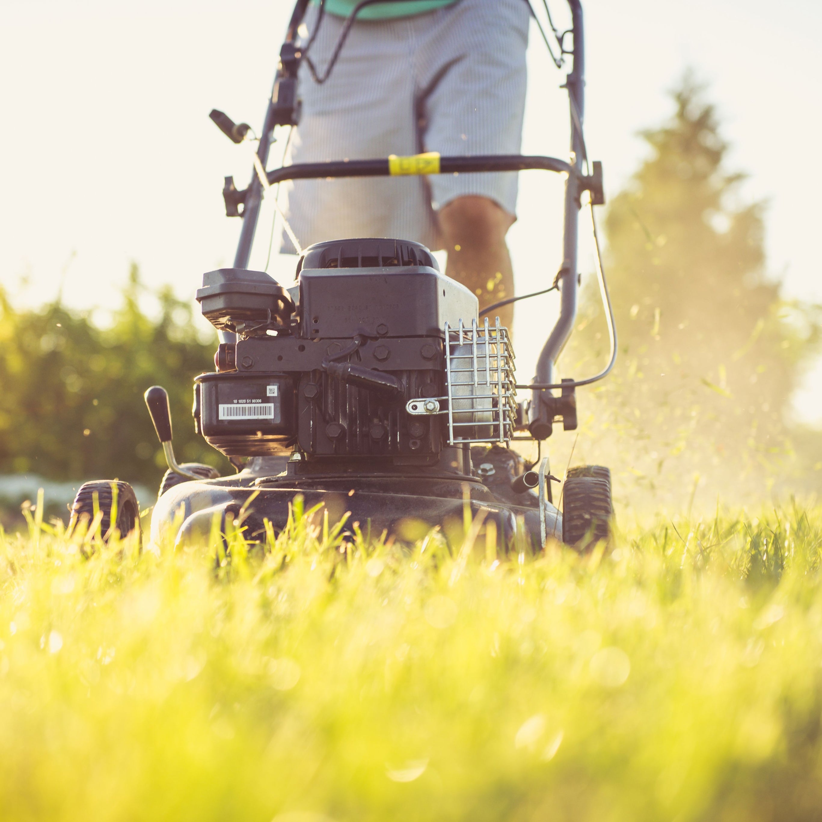 Gardening & Lawn Care