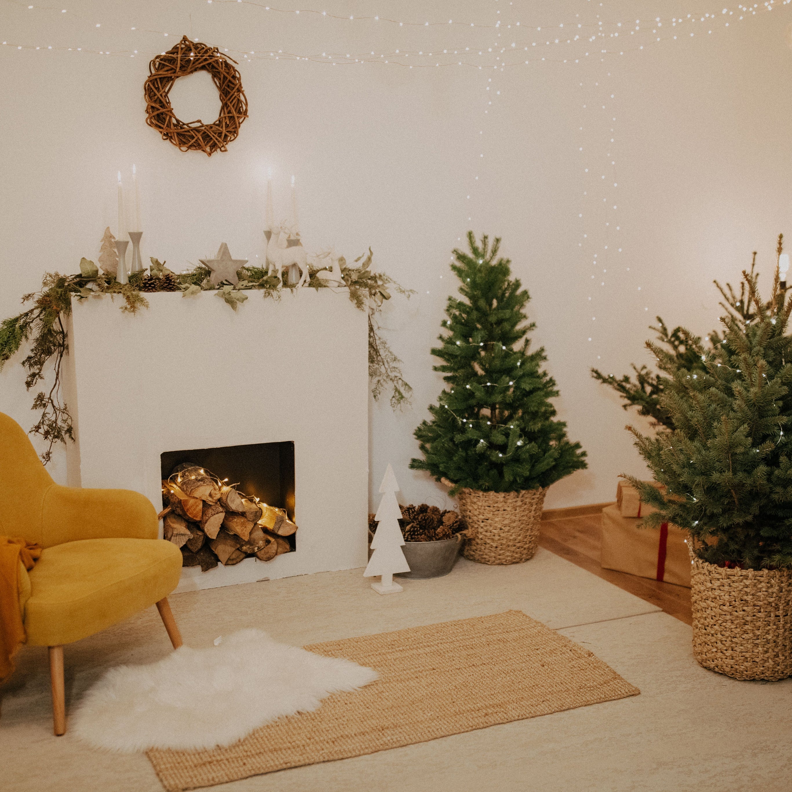Seasonal Decor