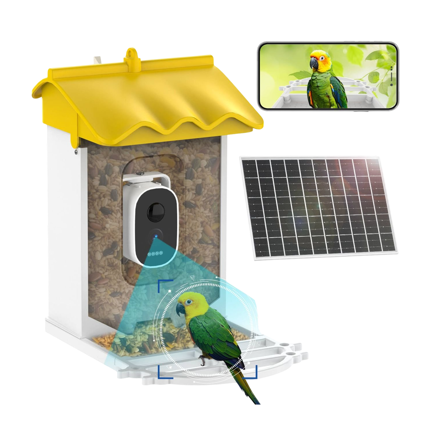 BirdieSaw 3