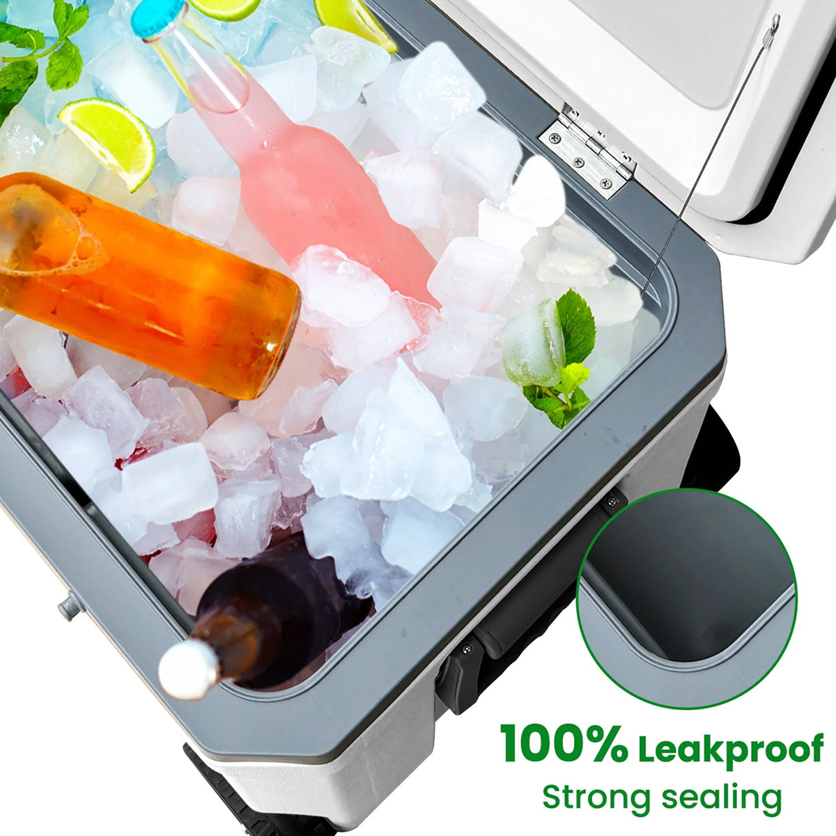 CryoFrot