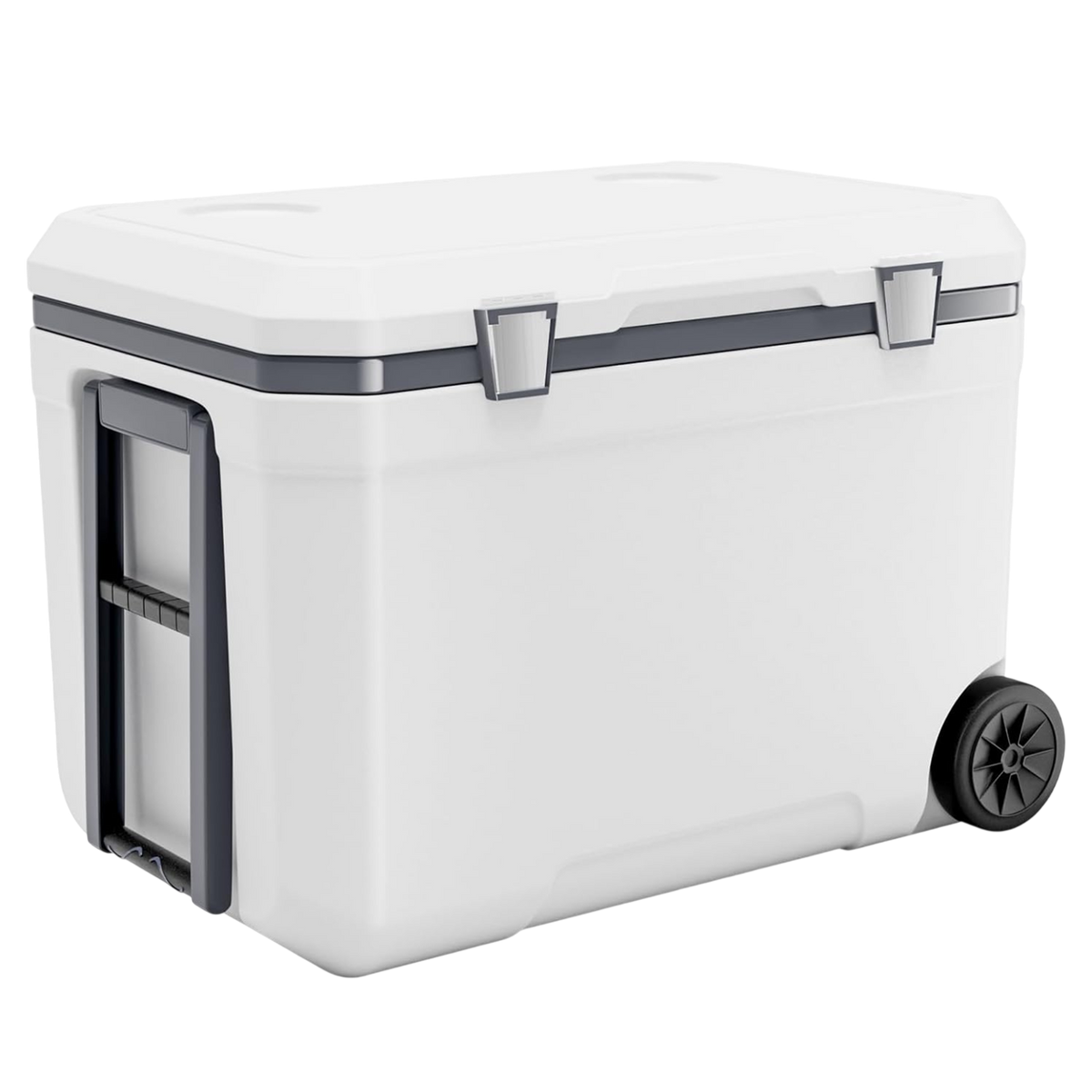 CryoFrot