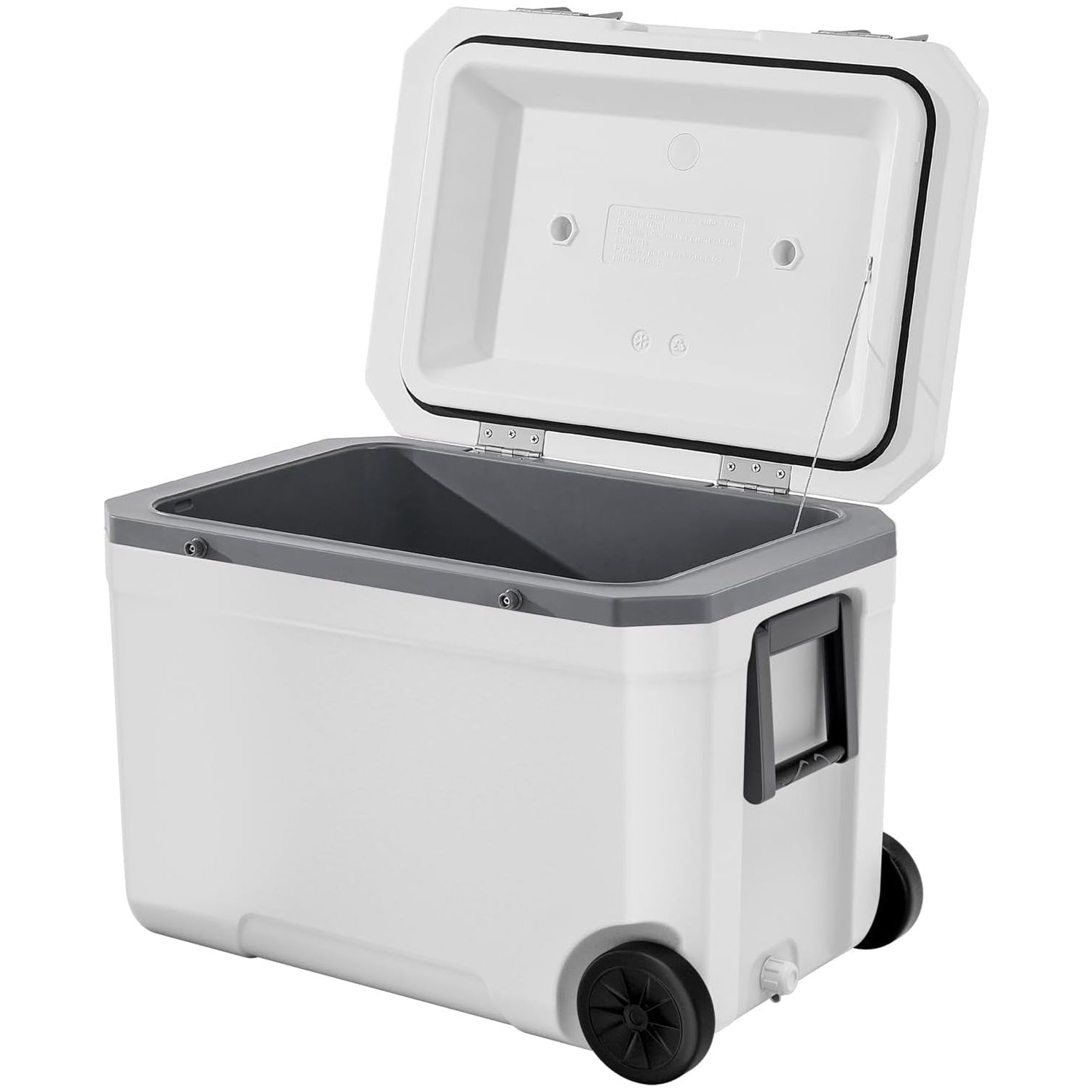 CryoFrot