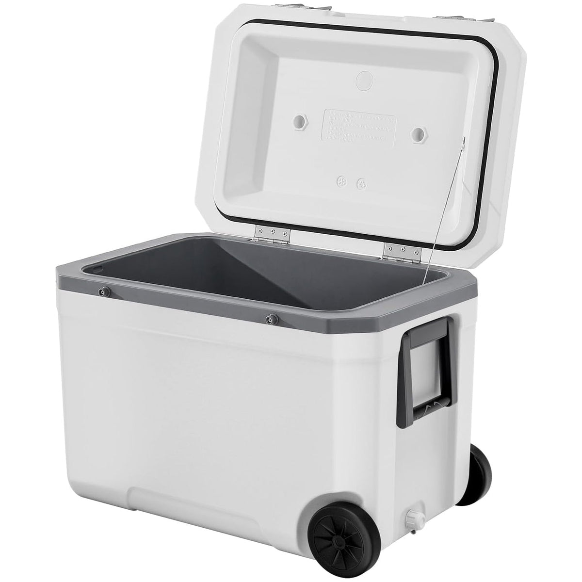 CryoFrot