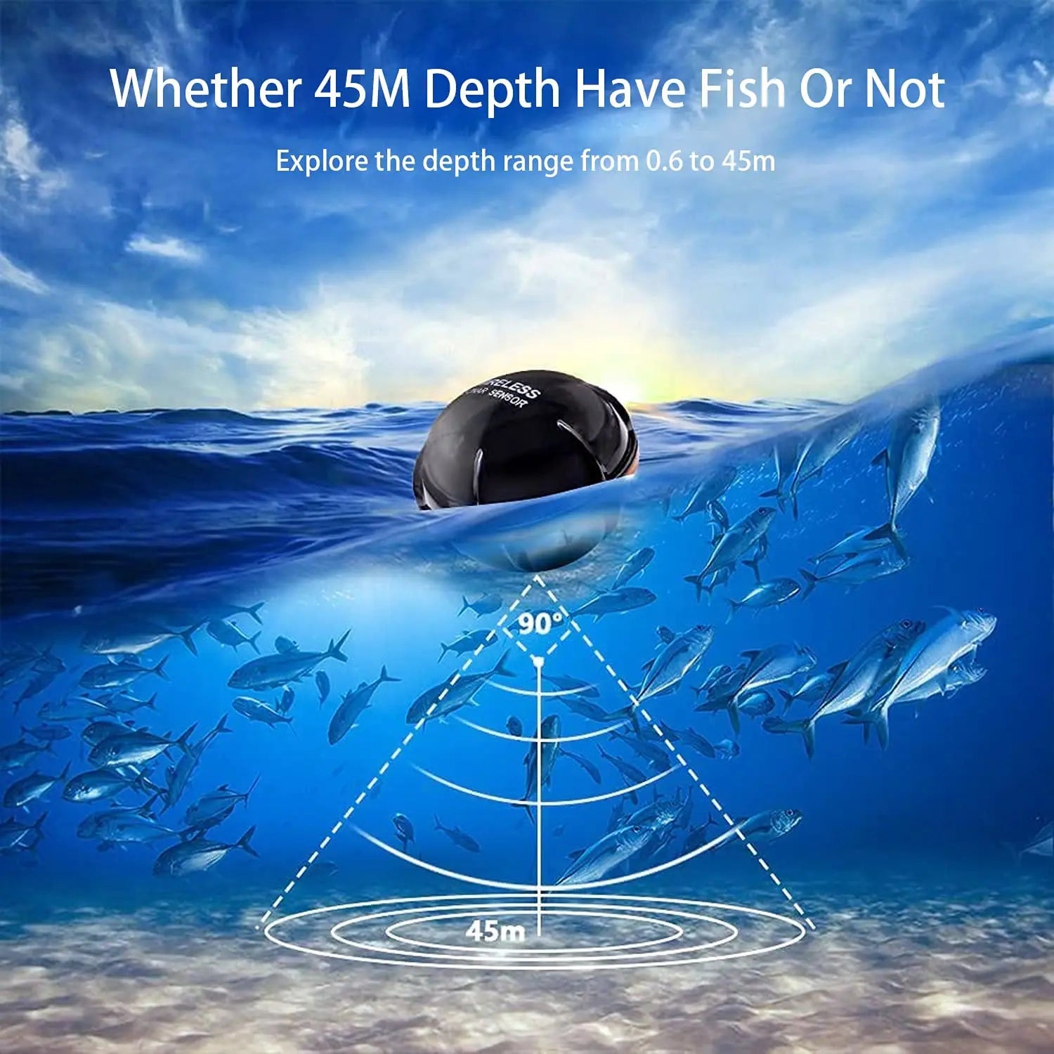 FinarFish