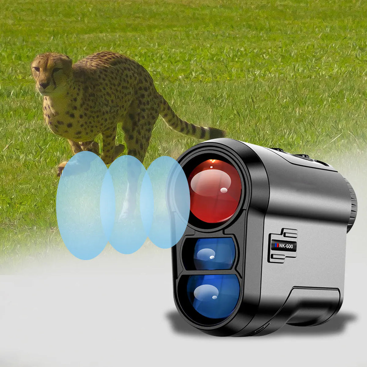 LarisSpot