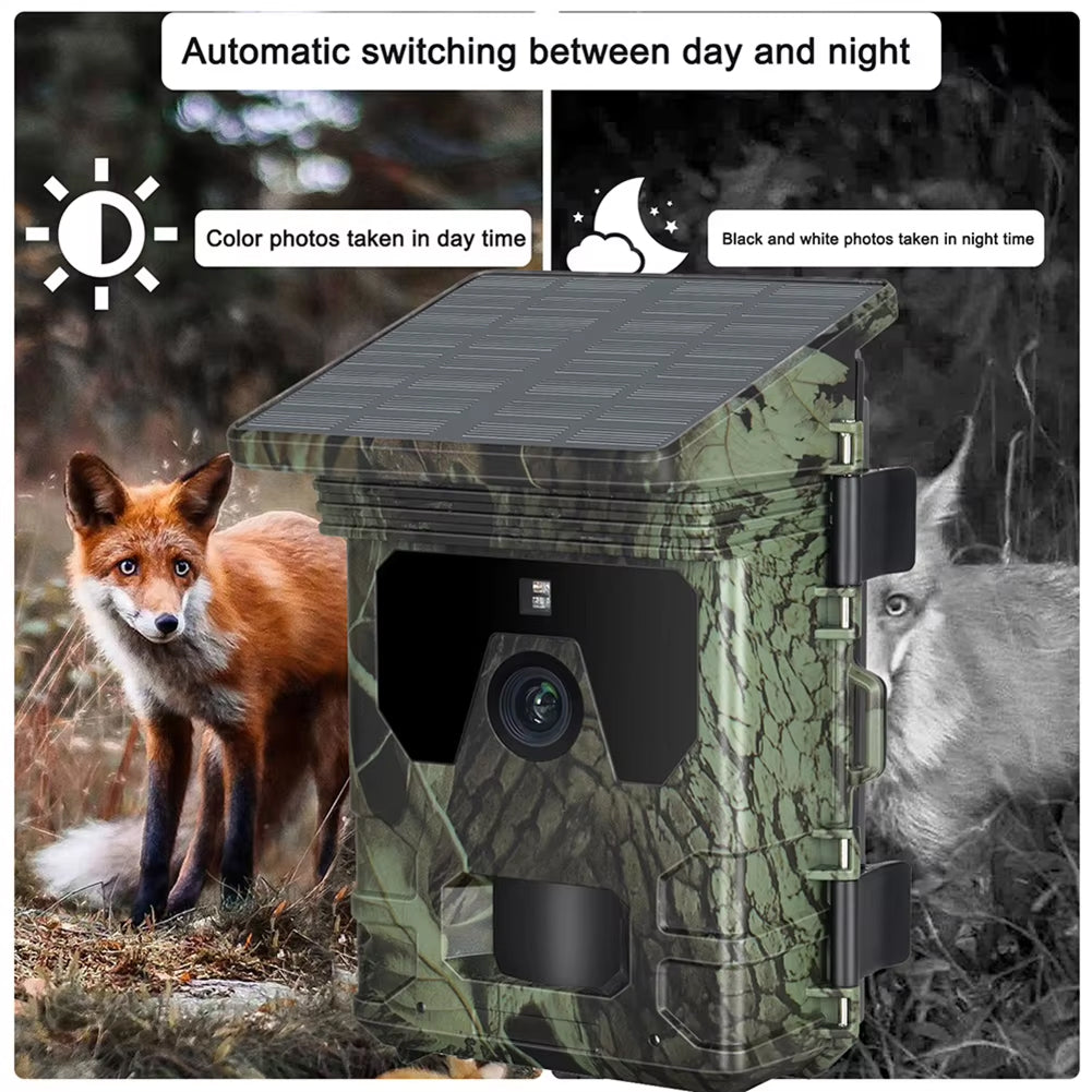 Wildlynix